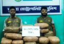 খুলনায় ডিবির অভিযানে এযাবৎকালে সর্বাধিক মাদকদ্রব্যের চালান জব্দ, ৬০ (ষাট) কেজি গাঁজা উদ্ধার