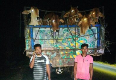 আদমদীঘিতে চালকের বুদ্ধিমত্তা ও ৯৯৯ সহয়তায় রক্ষা পেল গরু ব্যবসায়ীর ৩২ গরু আদমদীঘিতে চালকের বুদ্ধিমত্তা ও ৯৯৯ সহয়তায় রক্ষা পেল গরু ব্যবসায়ীর ৩২ গরু