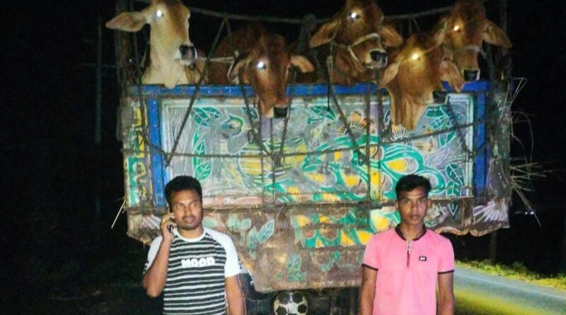 আদমদীঘিতে চালকের বুদ্ধিমত্তা ও ৯৯৯ সহয়তায় রক্ষা পেল গরু ব্যবসায়ীর ৩২ গরু আদমদীঘিতে চালকের বুদ্ধিমত্তা ও ৯৯৯ সহয়তায় রক্ষা পেল গরু ব্যবসায়ীর ৩২ গরু