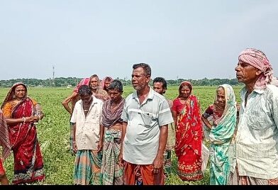 খুলনা বটিয়াঘাটায় অবৈধভাবে জোরপূর্বক ফসল কেটে নেওয়ার চেষ্টায় আশরাফ আলী হালদারের বিরুদ্ধে থানায় অভিযোগ