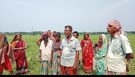 খুলনা বটিয়াঘাটায় অবৈধভাবে জোরপূর্বক ফসল কেটে নেওয়ার চেষ্টায় আশরাফ আলী হালদারের বিরুদ্ধে থানায় অভিযোগ