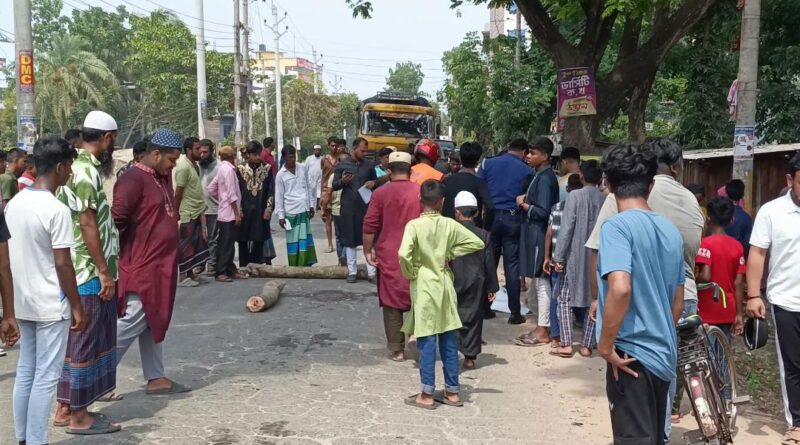 ঝিনাইদহে ট্রাক চাপায় নিহত ১