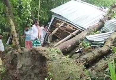 জামালপুরে ঝড়ে বসত ঘরে গাছ ভেঙ্গে পরে মা ও দুই মেয়ের করুণ মৃত্যু