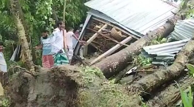 জামালপুরে ঝড়ে বসত ঘরে গাছ ভেঙ্গে পরে মা ও দুই মেয়ের করুণ মৃত্যু