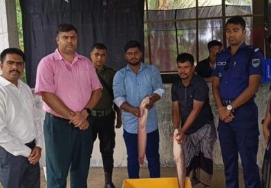 বাগেরহাটে অবৈধ আফ্রিকান মাগুর মাছের হ্যাচারিতে অভিযান ৩০ মন মাছ জব্দ, জরিমানা আদায়