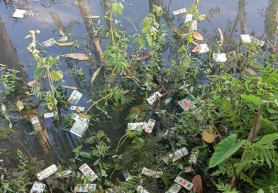 ইসলামপুরে ডোবার পানিতে ভাসছে সরকারি ওষুধ