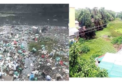 দখল ও কচুরিপানায় অস্তিত্ব সংকটে বটিয়াঘাটার নদী-খাল