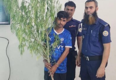 পিরোজপুরের ভান্ডারিয়া পুলিশের অভিযানে গাঁজা গাছসহ যুবক গ্রেফতার