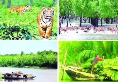 সুন্দরবনে দস্যু আতঙ্ক চরমে ২৪ ঘণ্টায় আবারও ৬ জেলে অপহরণ, ‘জাহাঙ্গীর বাহিনী’ এখন জেলে-মৌয়ালদের মূর্তিমান আতঙ্ক