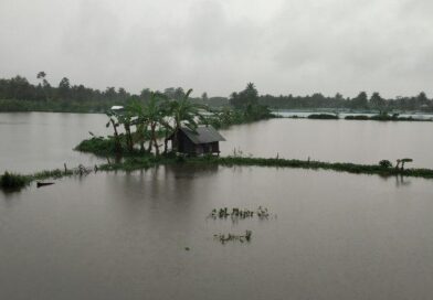 সুন্দরবন উপকূলে চিংড়ির রেণু পোনার তীব্র সংকট, বিপাকে ফকিরহাটের লক্ষাধিক মানুষের জীবিকা