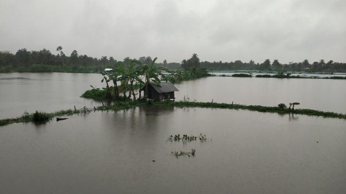 সুন্দরবন উপকূলে চিংড়ির রেণু পোনার তীব্র সংকট, বিপাকে ফকিরহাটের লক্ষাধিক মানুষের জীবিকা
