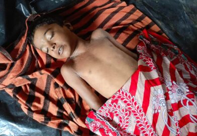 জামালপুরে শাপলা তুলতে গিয়ে পানিতে ডুবে শিশুর মৃত্যু