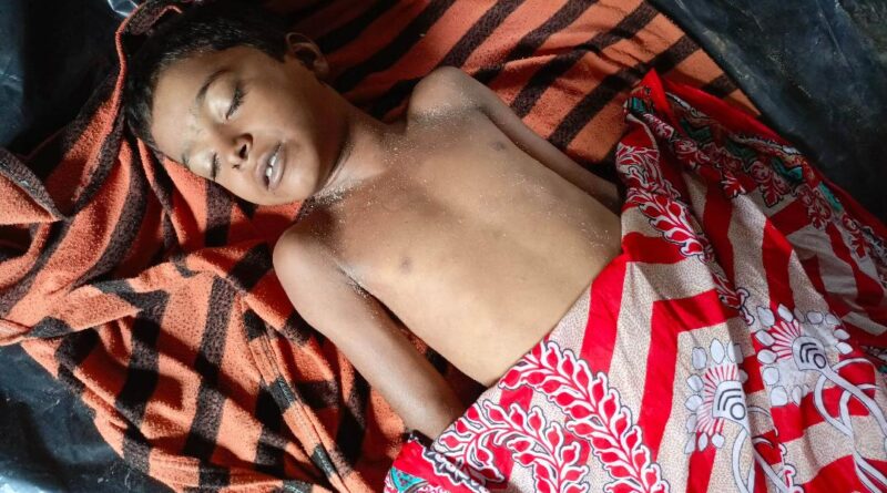 জামালপুরে শাপলা তুলতে গিয়ে পানিতে ডুবে শিশুর মৃত্যু