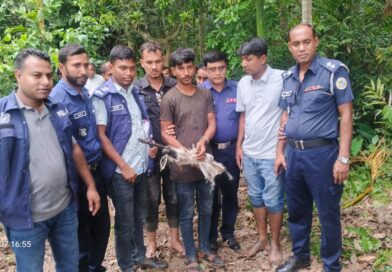 পিরোজপুরে পুলিশের যৌথ অভিযানে শটগান উদ্ধার, যুবক গ্রেফতার পিরোজপুরে পুলিশের যৌথ অভিযানে শটগান উদ্ধার, যুবক গ্রেফতার