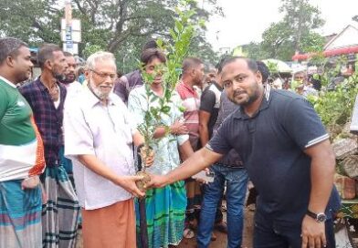 শৈলকুপায় বিনামূল্যে গাছের চারা বিতরণ শৈলকুপায় বিনামূল্যে গাছের চারা বিতরণ