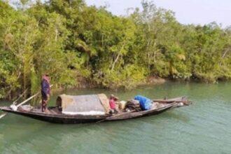 প্রজনন মৌসুমেও সুন্দরবনে অব্যাহত মাছ-কাঁকড়া নিধন, উৎকোচের অভিযোগে প্রশ্নের মুখে বন বিভাগের নজরদারি