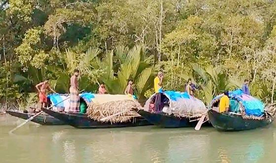 সুন্দরবনের ৮ হাজার ২৭১ জেলে পরিবারের জন্য প্রথমবার ভিজিএফ চাল বরাদ্দ ছয় বছর পর নিষেধাজ্ঞাকালীন খাদ্য সহায়তায় স্বস্তি, বাদ পড়াদের নিয়ে ক্ষোভ