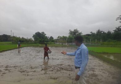 বটিয়াঘাটায় আমনের বাম্পার ফলনের আশায় বীজ তলা তৈরীতে ব্যস্ত কৃষকরা