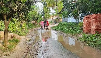 পরিকল্পিত ড্রেনেজ ব্যবস্থা না থাকায় সাপাহার সীমান্তে সড়কের বেহাল দশা