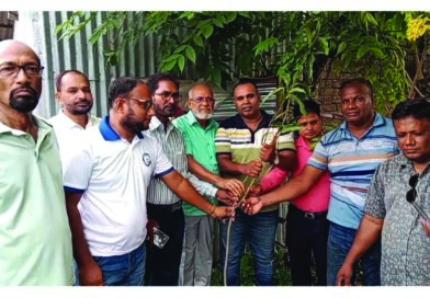 প্রধানমন্ত্রী তারেক রহমানের বৃক্ষরোপণ কর্মসূচিকে স্বাগত জানিয়ে বটিয়াঘাটা প্রেসক্লাবের বৃক্ষরোপণ