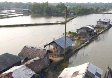 দক্ষিণ-পশ্চিমাঞ্চলে লবণাক্ততার বিষে বদলে যাচ্ছে উপকূলের জীবন ৩০ বছরে কমেছে ২২% ফসলি জমি, অনাবাদি জমি বেড়েছে ৭%—সুন্দরবনঘেঁষা মানুষের জীবিকা সংকটে, বাড়ছে পেশা বদল, ঋণের বোঝা ও বিদেশমুখী অভিবাসন
