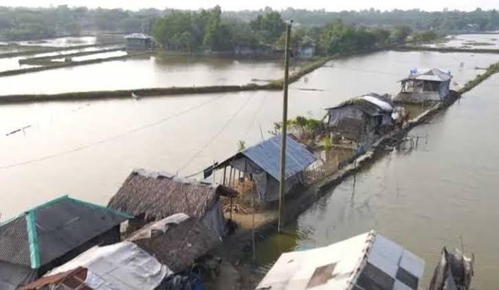 দক্ষিণ-পশ্চিমাঞ্চলে লবণাক্ততার বিষে বদলে যাচ্ছে উপকূলের জীবন ৩০ বছরে কমেছে ২২% ফসলি জমি, অনাবাদি জমি বেড়েছে ৭%—সুন্দরবনঘেঁষা মানুষের জীবিকা সংকটে, বাড়ছে পেশা বদল, ঋণের বোঝা ও বিদেশমুখী অভিবাসন