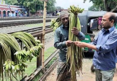 সান্তাহারে সড়কে প্রাণ গেল শাপলা বিক্রেতা শহিদুলের