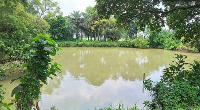 সান্তাহারে জাহিদুল ইসলাম বাবলুর বিরুদ্ধে পুকুর দখলের অভিযোগ