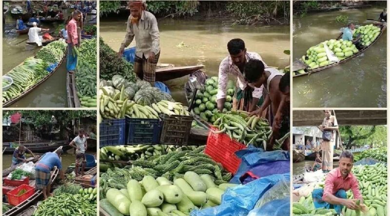খালের বুকে ভাসমান হাট, চার ঘণ্টায় বেচাকেনা ২৫ লাখ টাকার সবজি নৌকাই দোকান, খালই বাজার | শতবর্ষের ঐতিহ্য ধরে রেখেছে কচুয়ার গজালিয়ার ভাসমান সবজি হাট | মৌসুমে বেচাকেনা ছাড়ায় ৪ কোটি টাকা