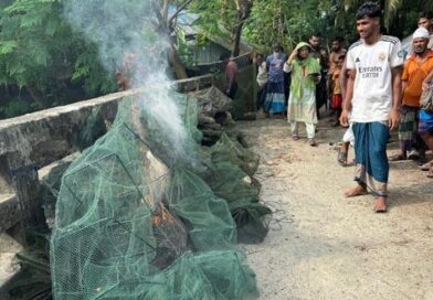 মোল্লাহাটে ৩৫ চায়না দুয়ারী জাল জব্দ, ধ্বংসের মুখে দেশীয় মাছের প্রজনন কোদালিয়া বিলে মোবাইলকোর্টের অভিযান | ১ লাখ ৭৫ হাজার টাকার জাল বিনষ্ট