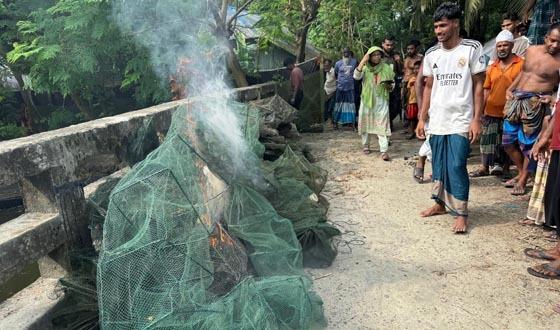 মোল্লাহাটে ৩৫ চায়না দুয়ারী জাল জব্দ, ধ্বংসের মুখে দেশীয় মাছের প্রজনন কোদালিয়া বিলে মোবাইলকোর্টের অভিযান | ১ লাখ ৭৫ হাজার টাকার জাল বিনষ্ট