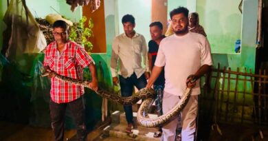 শ্রীমঙ্গলে খাটের নিচ থেকে ১৬ ফুটের বিশাল অজগর উদ্ধার