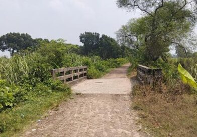 সবুজ মাঠ,পুকুর আর পুরোনো বসতভিটা-মঙ্গলপুর কি সত্যিই ‘মানুষশূন্য’?