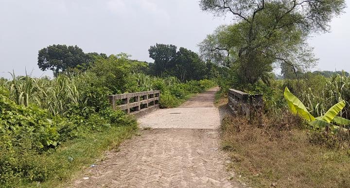 সবুজ মাঠ,পুকুর আর পুরোনো বসতভিটা-মঙ্গলপুর কি সত্যিই ‘মানুষশূন্য’?