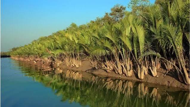বিশ্বের বৃহত্তম ম্যানগ্রোভ বন সুন্দরবনের বুক ছুঁয়ে বারবার আঘাত হেনেছে ঘূর্ণিঝড়, জলোচ্ছ্বাসসহ দুই শতাধিক প্রাকৃতিক দুর্যোগ। প্রতিবারই ধ্বংসস্তূপ পেরিয়ে ঘুরে দাঁড়িয়েছে উপকূলের মানুষ