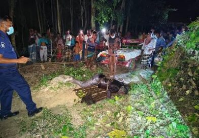 জামালপুরে বিল থেকে অজ্ঞাত ব্যক্তির মরদেহ উদ্ধার